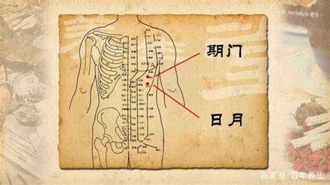 旗門穴|期門穴的功效與作用附按摩手法